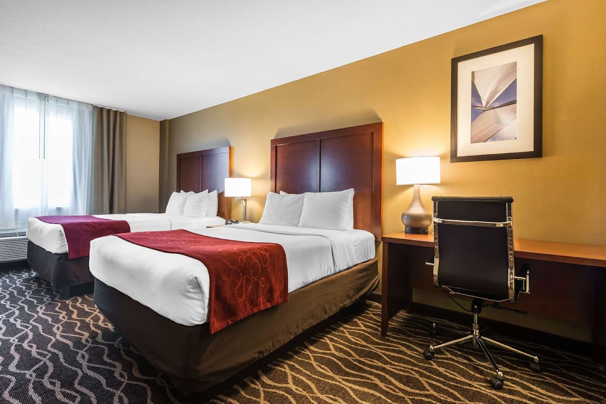 Comfort Suites Tampa Airport North photo 2