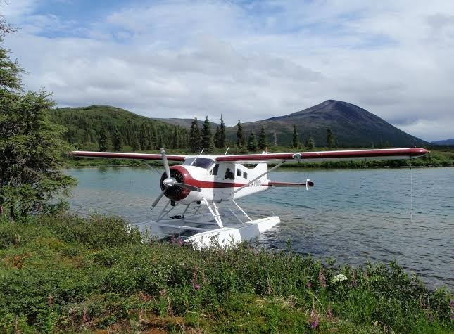 All Alaska Outdoors lodge photo 2