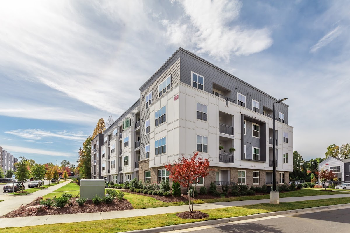 Kasa FreeMoreWest Charlotte photo 3