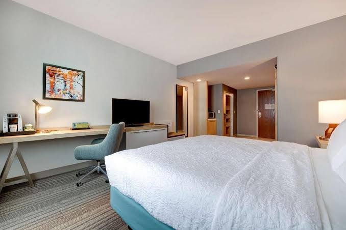 Hilton Garden Inn Tampa Northwest/Oldsmar photo 3