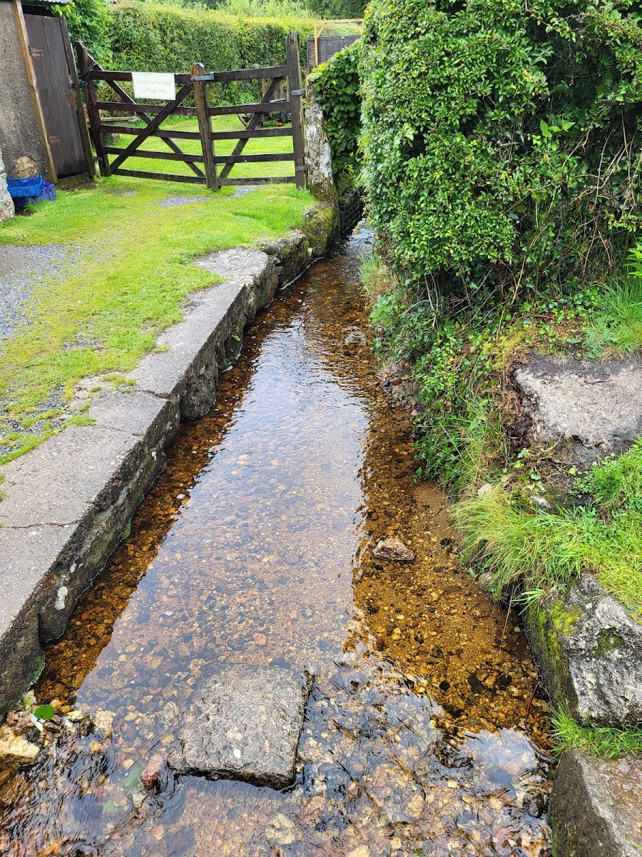 The Rugglestone Inn photo 3