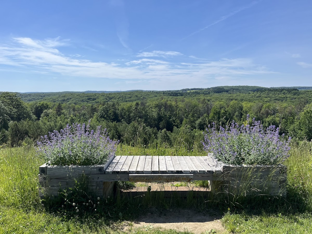 Holimont photo 3