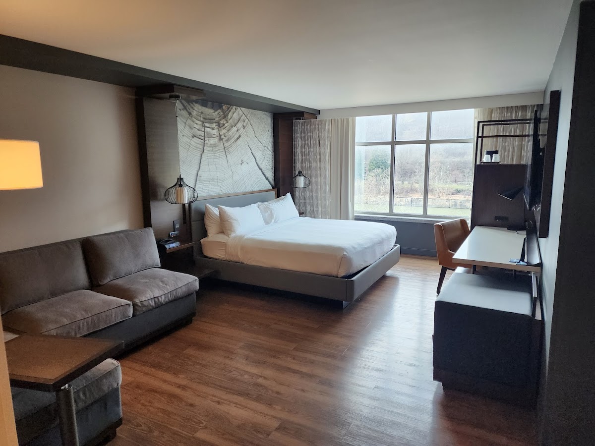 Morgantown Marriott at Waterfront Place photo 2