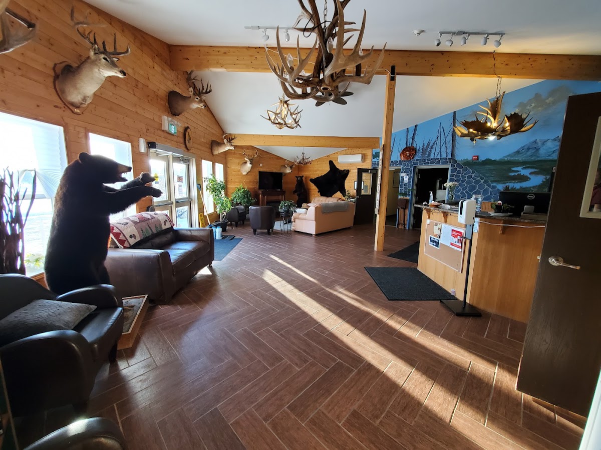 Killarney Wilderness Inn photo 3