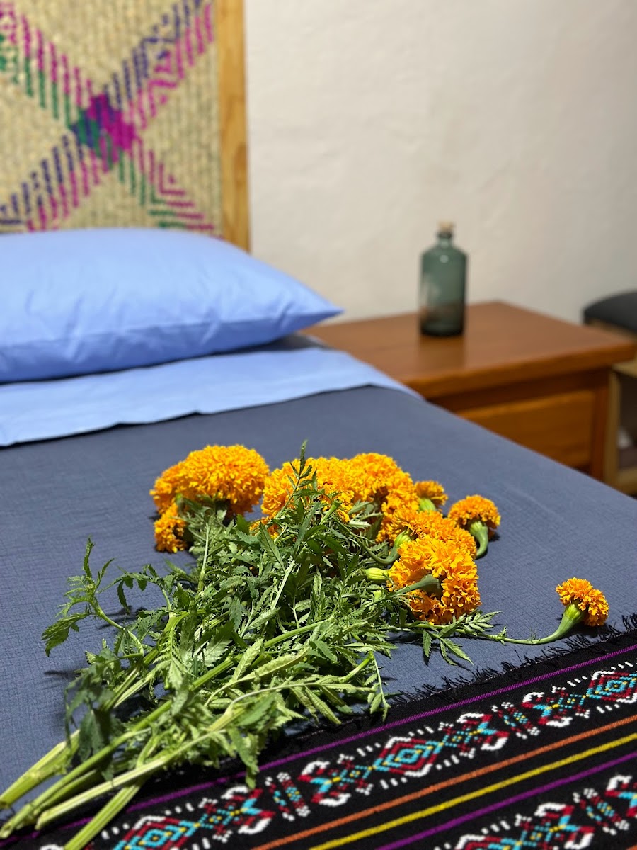 Casa Nabani Oaxaca photo 3