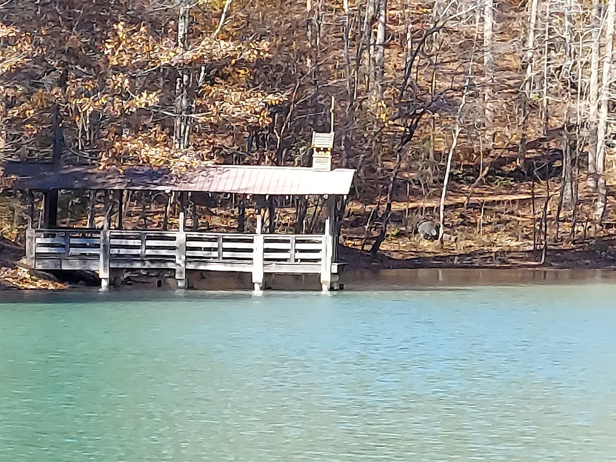 Hidden Hollow Resort photo 3