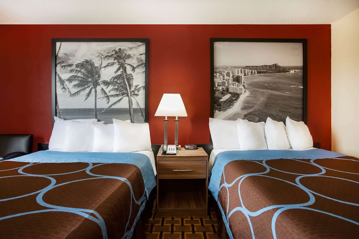 Super 8 by Wyndham Chester/Richmond Area photo 2