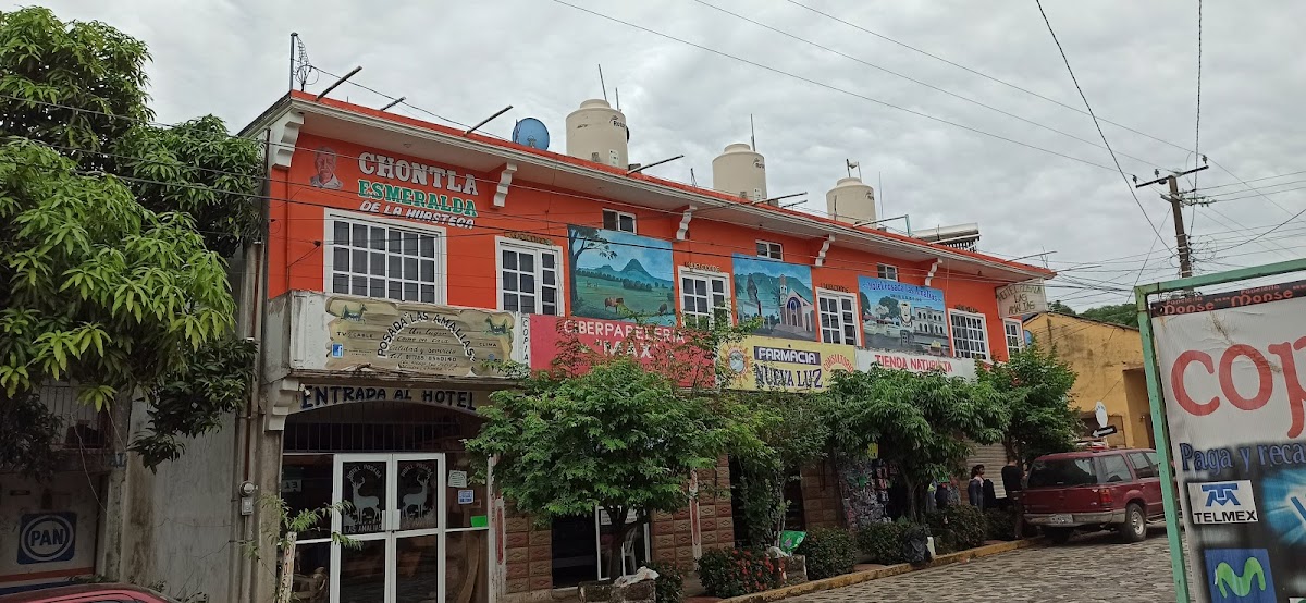Hotel Posada 'Las Amalias'
