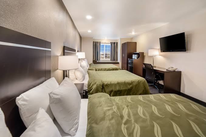 Quality Inn & Suites near NAS Fallon photo 2