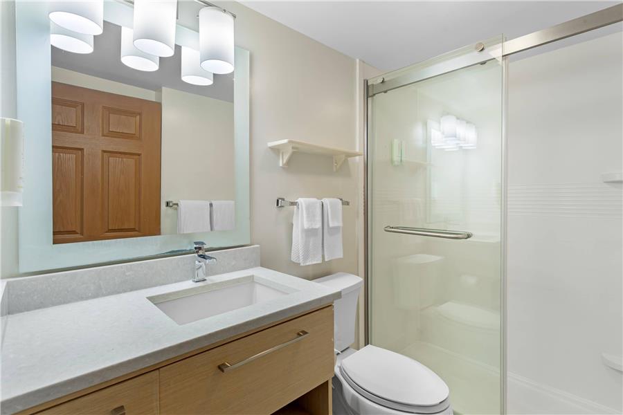 MainStay Suites Tampa Moffitt-USF photo 3