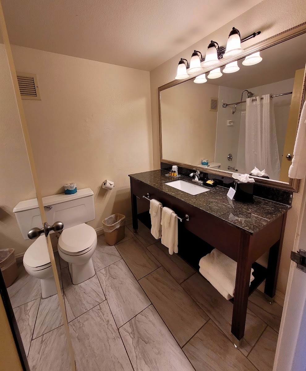 Seville Plaza Hotel, Trademark Collection by Wyndham photo 3