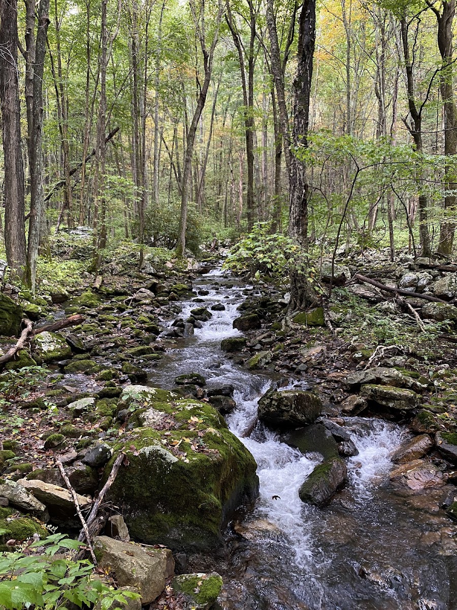 Mill Creek Nature Park Trails