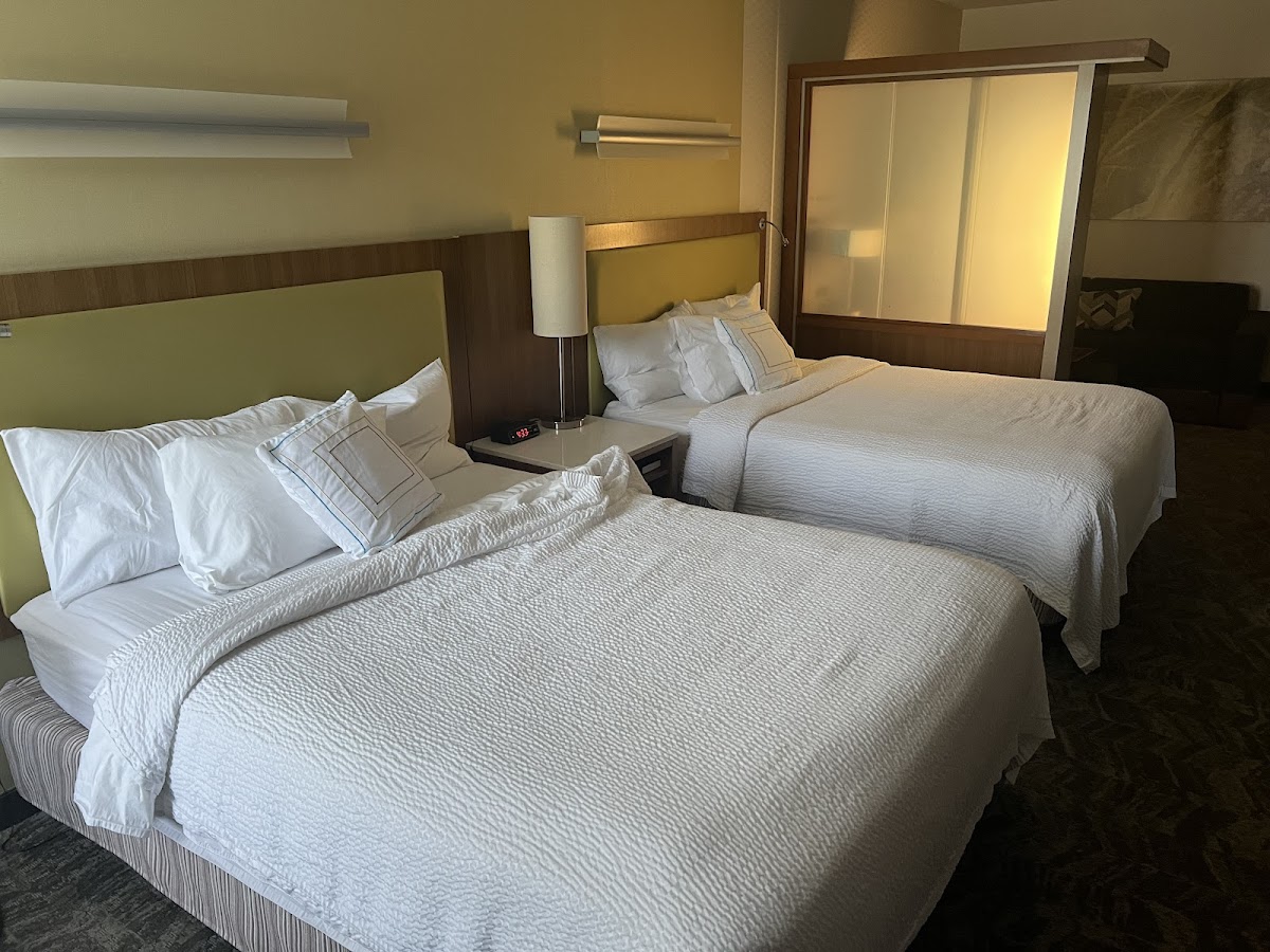 SpringHill Suites by Marriott Harrisburg Hershey photo 2