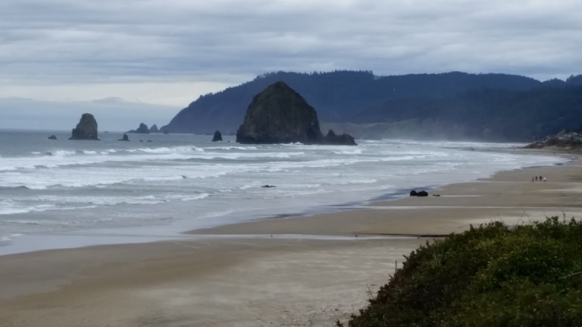 Grey Whale Inn photo 2