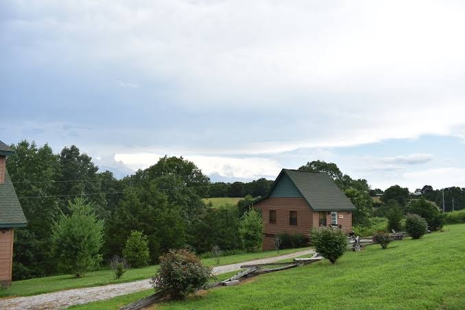 Bear Creek Cabin Resort photo 3