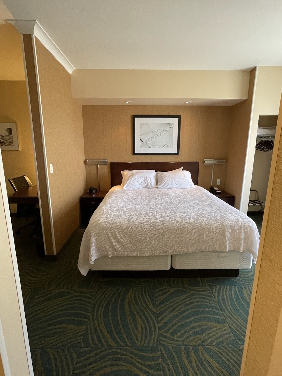 SpringHill Suites by Marriott Omaha East/Council Bluffs, IA photo 3