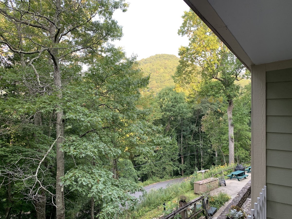 South Carolina Inn at Montreat photo 3