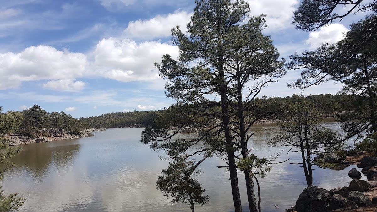 Cusarare River Sierra Lodge photo 3