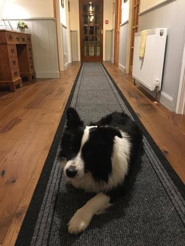 Highland Croft B&B photo 3