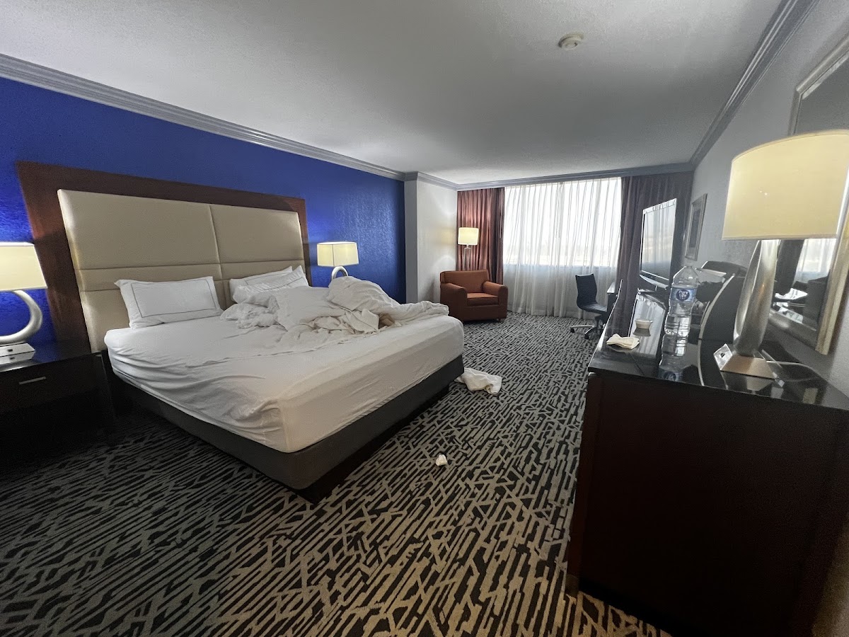 Hilton Palm Beach PBI photo 2