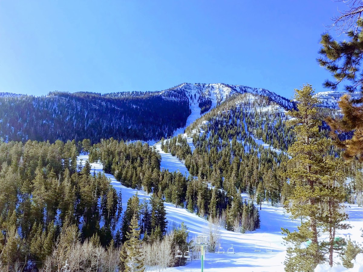 Lee Canyon photo 2
