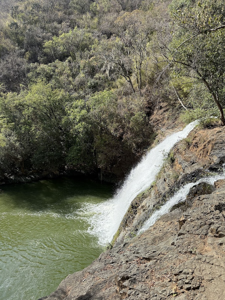 Cascada el Salto del Nogal, Tapalpa