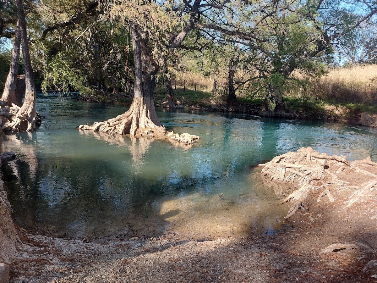 Las Delicias chiapas