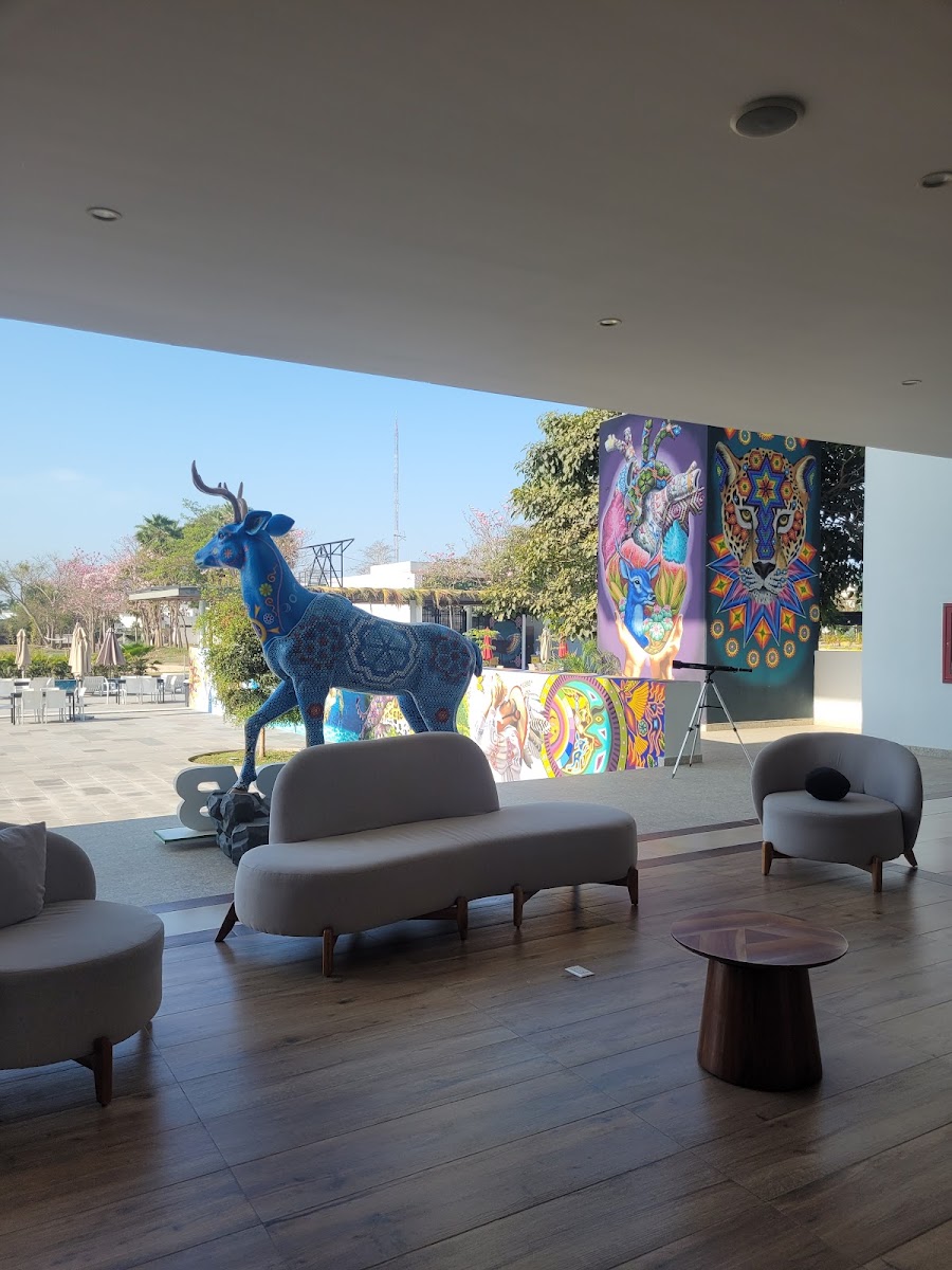 Hotel Gran Nayar photo 3
