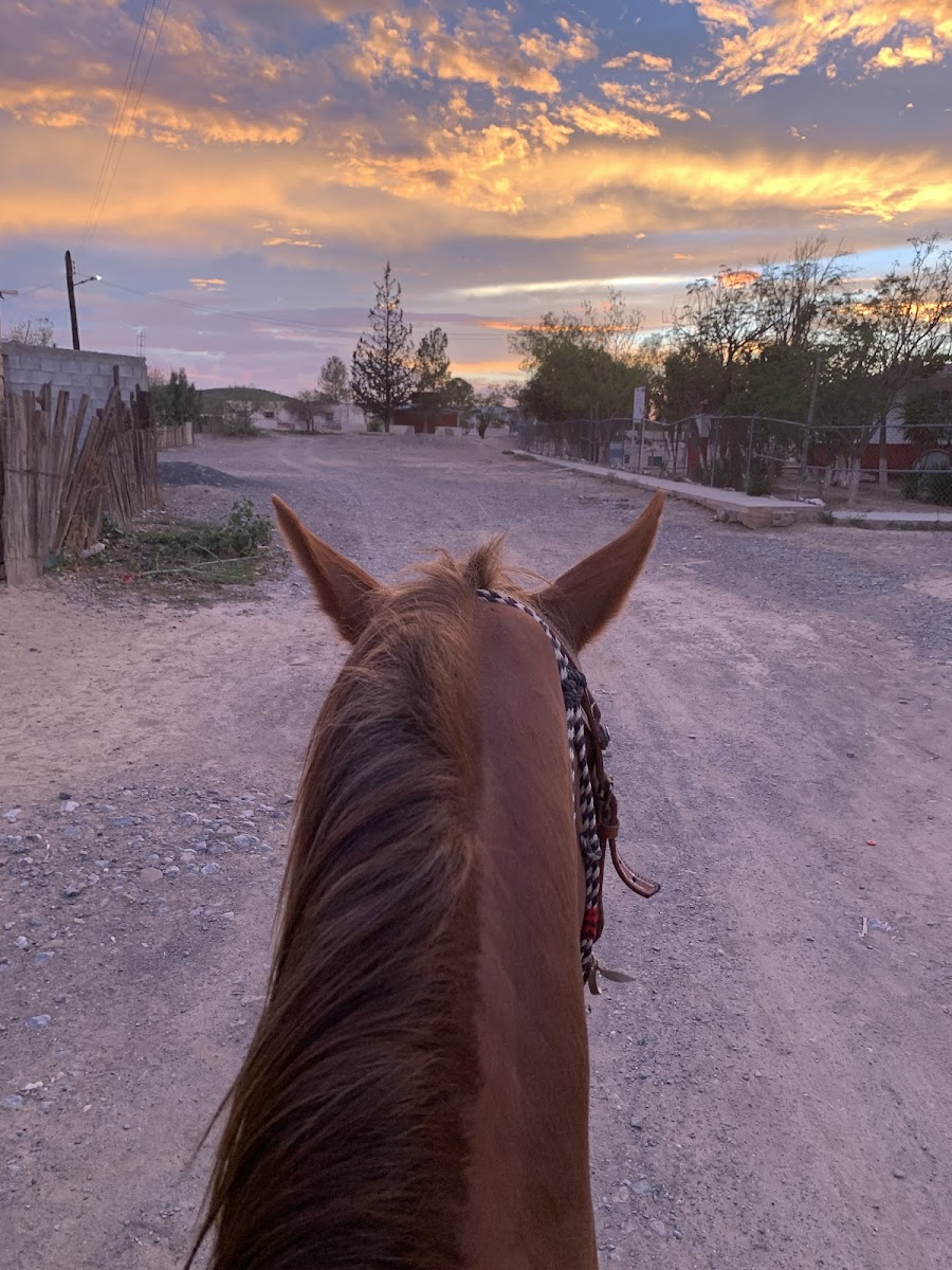 Ejido Presa De Guadalupe