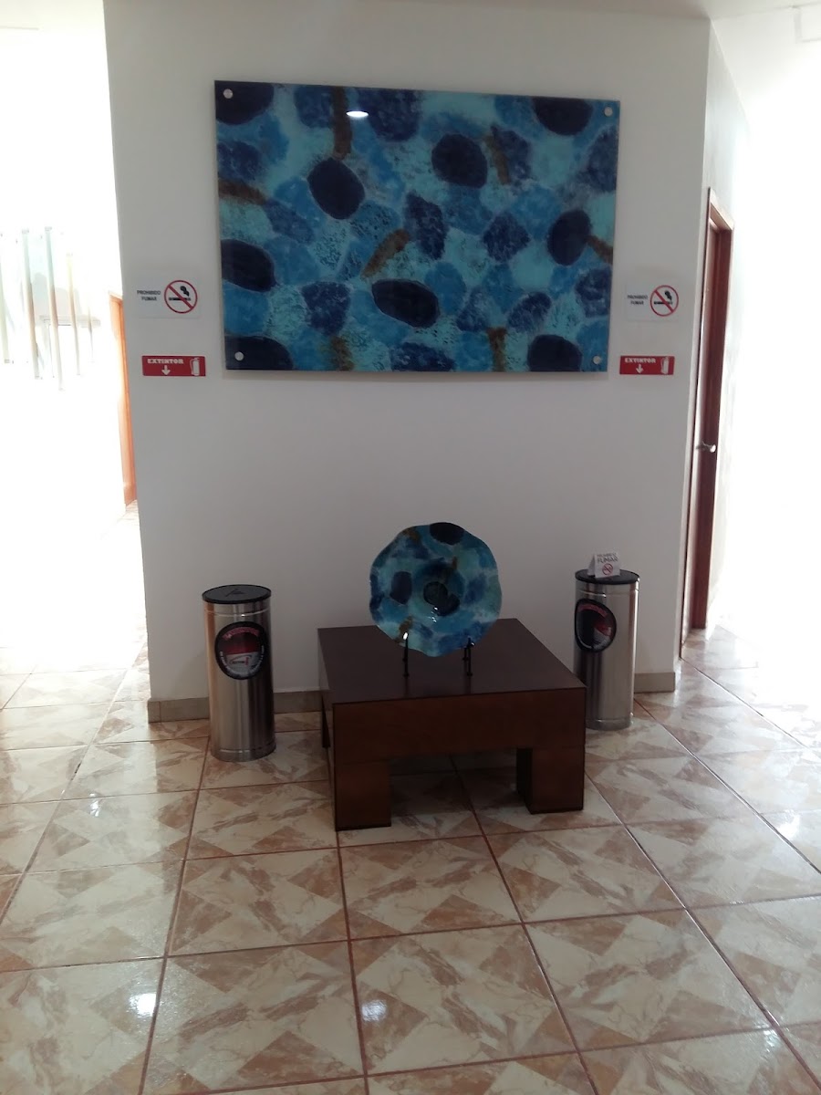 Hotel Ohana photo 2