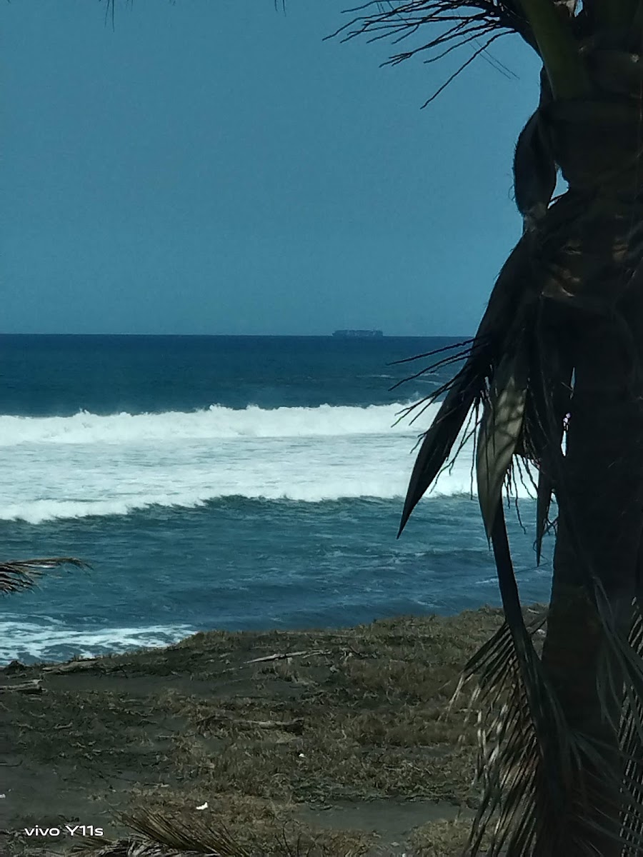 Las Brisas de Cuyutlán photo 2