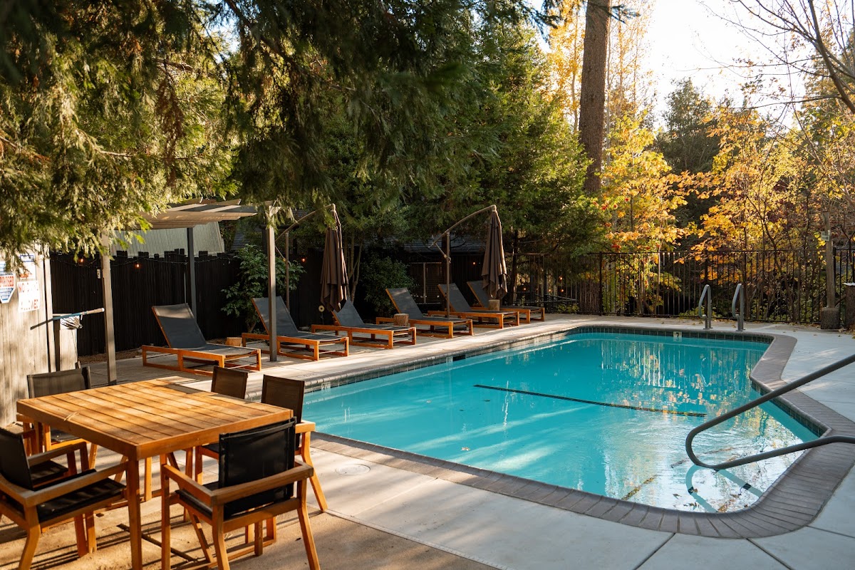 The Pinetree Hotel photo 3
