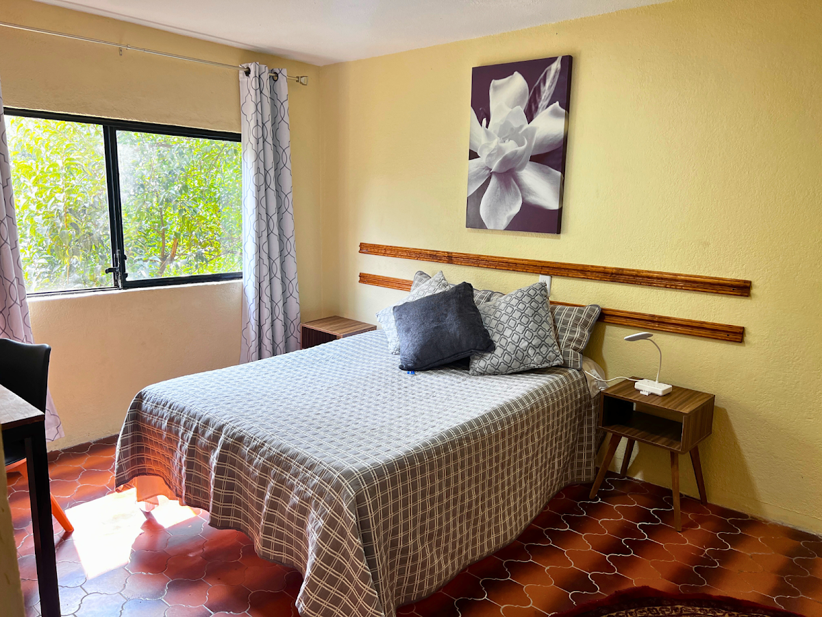 Discover Condesa photo 2