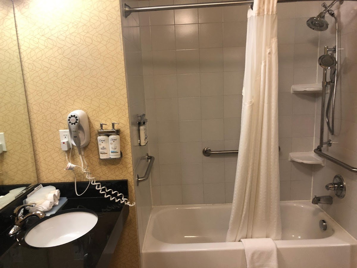 Holiday Inn Express & Suites Lansing-Dimondale by IHG photo 2