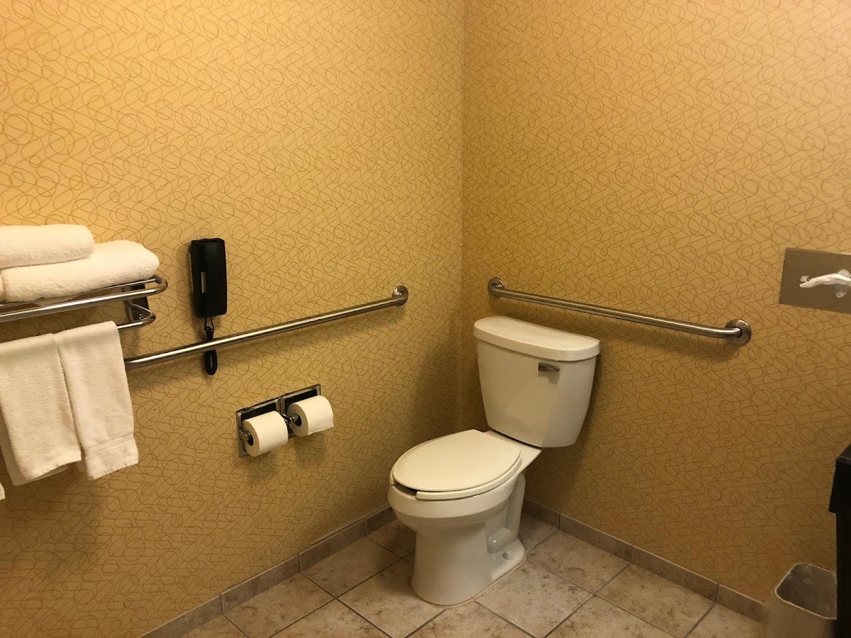 Holiday Inn Express & Suites Lansing-Dimondale by IHG photo 3