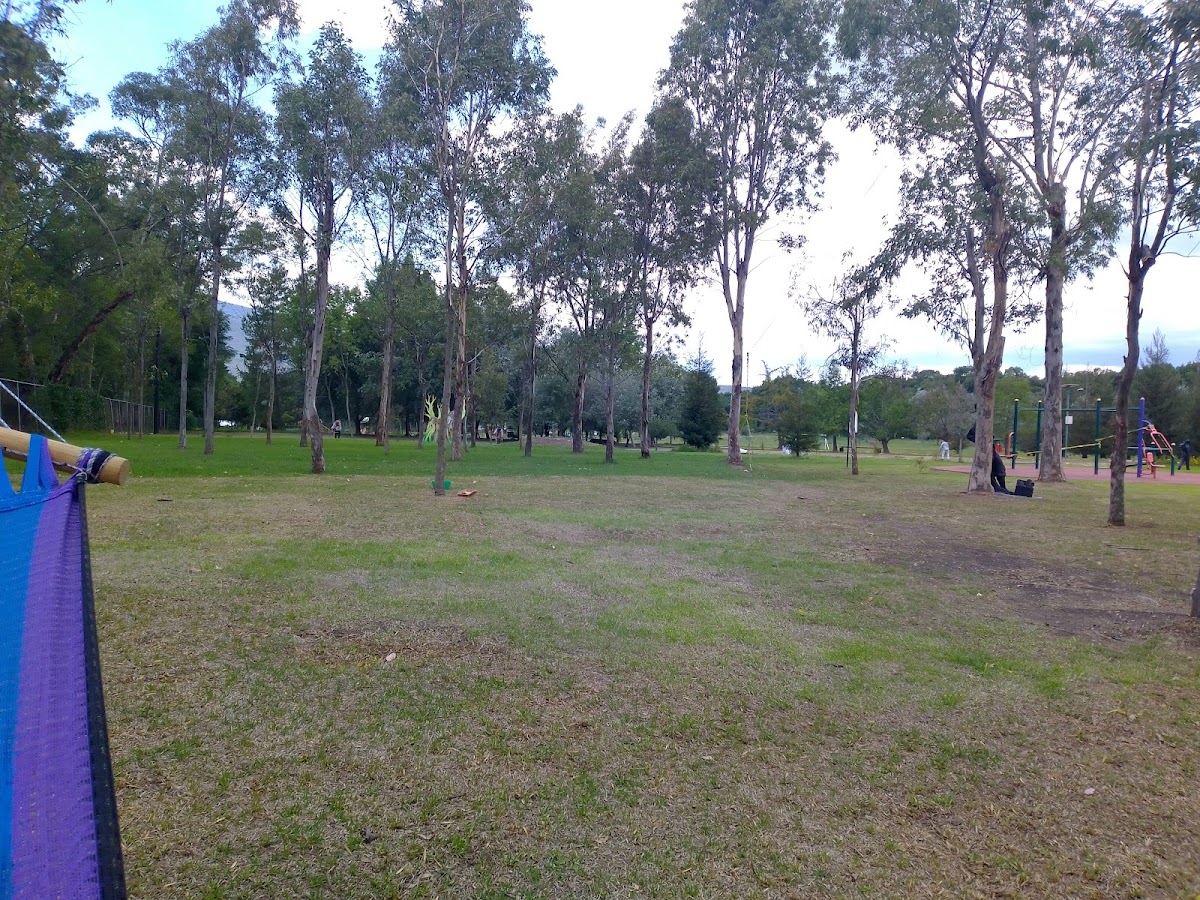 Urbano Las Sequoias Park