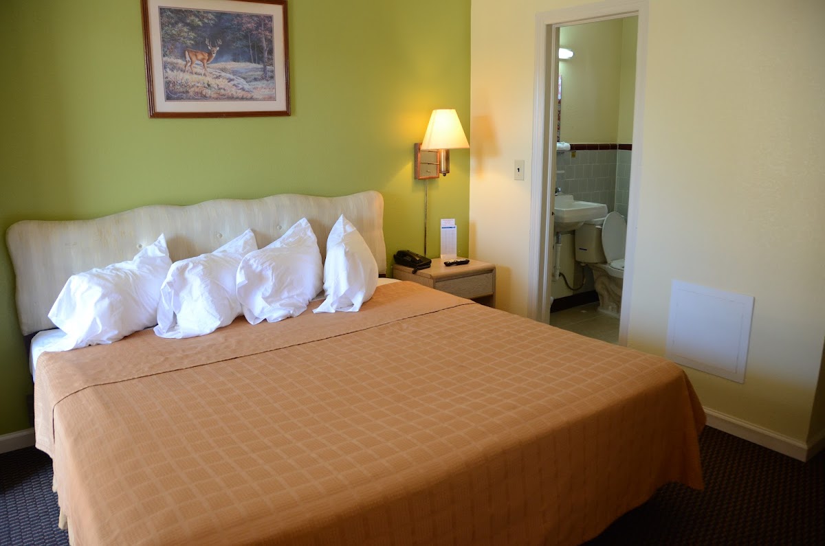 Shaws Komfort Motel photo 2