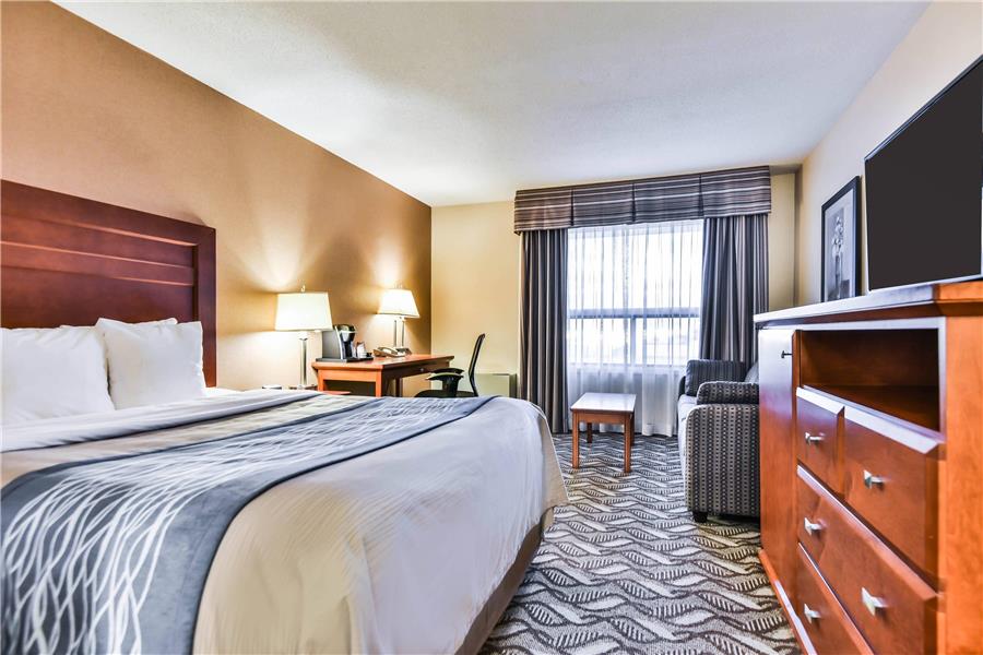 Comfort Inn & Suites Ambassador Bridge photo 3