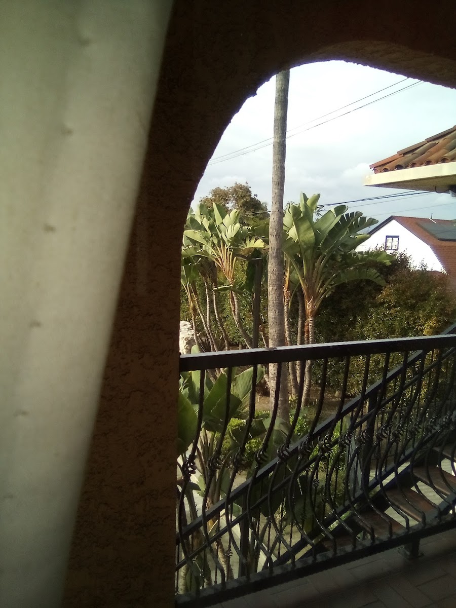The Snooty Fox Motor Inn photo 2