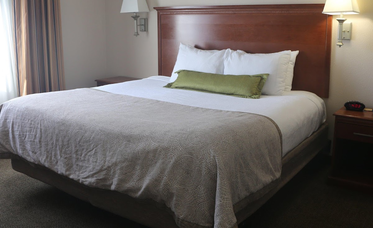 Candlewood Suites Fredericksburg by IHG photo 3