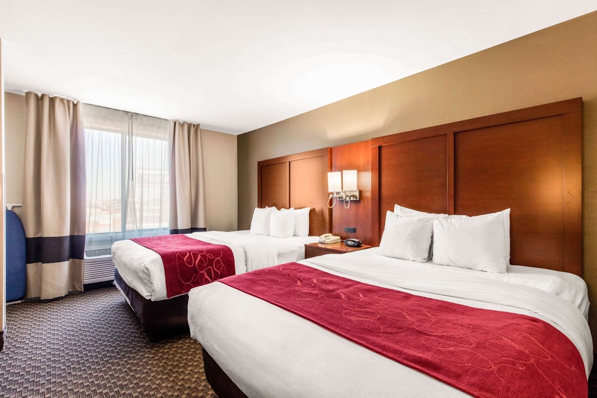 Comfort Suites Tuscaloosa near University photo 2