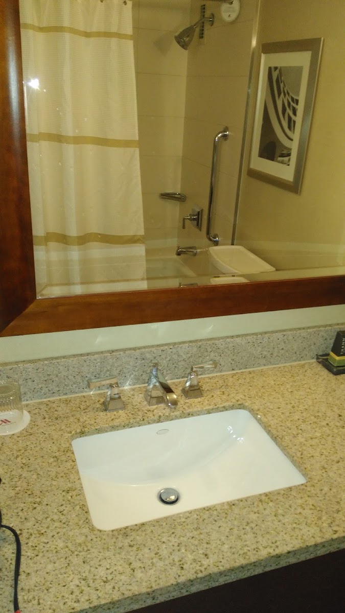 Westchester Marriott photo 3