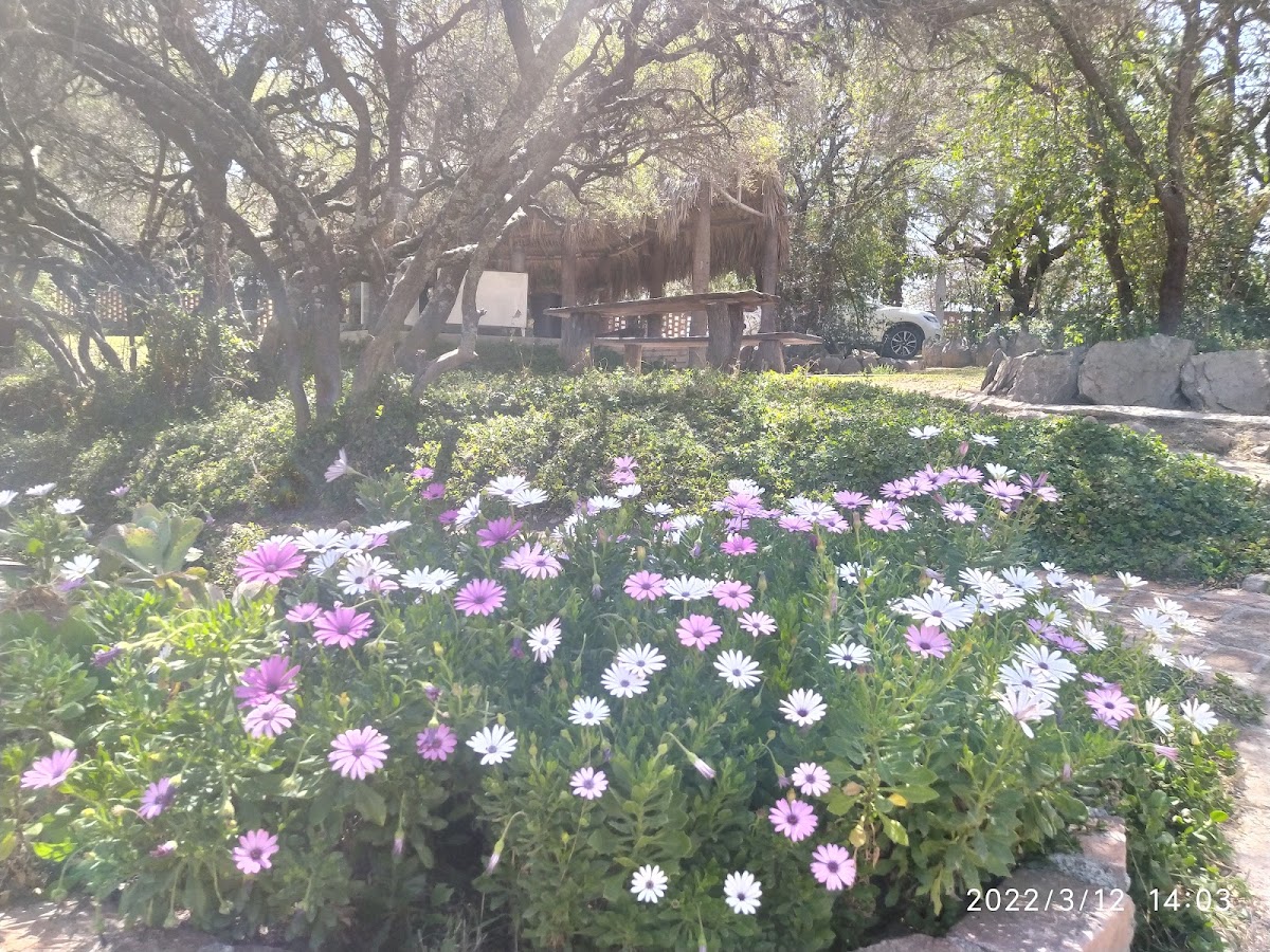 Rancho La Cañada photo 2