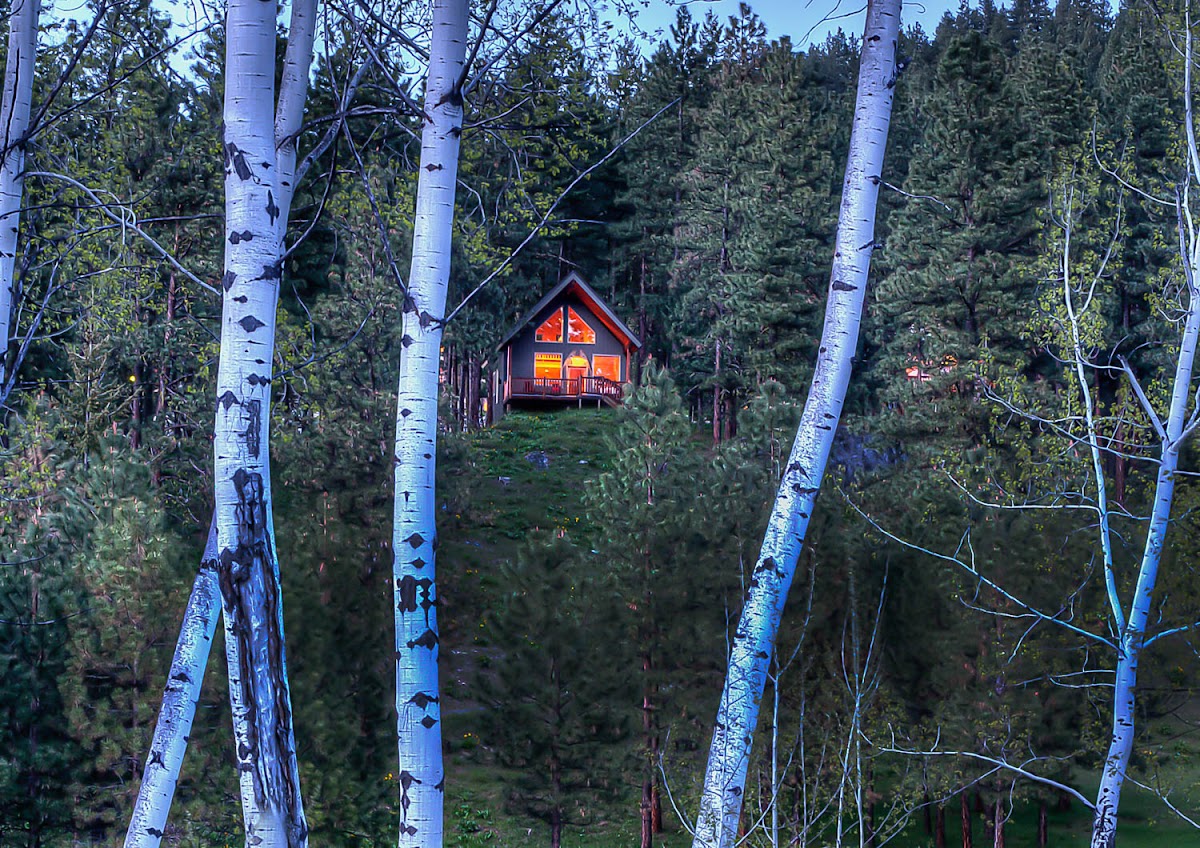 Mountain Home Lodge photo 2