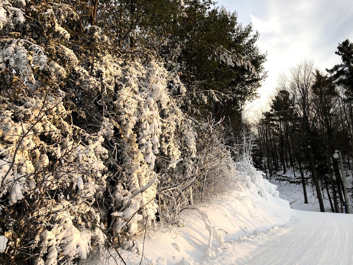 Dagmar Ski Resort photo 3