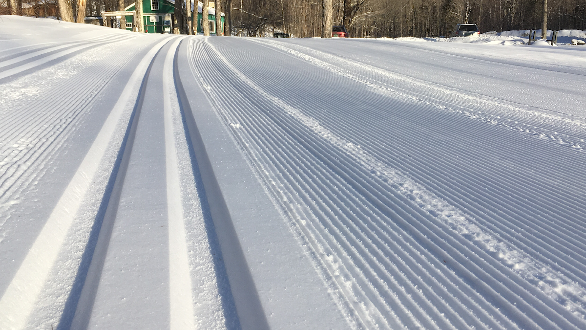 Wild Wings Ski Touring Center