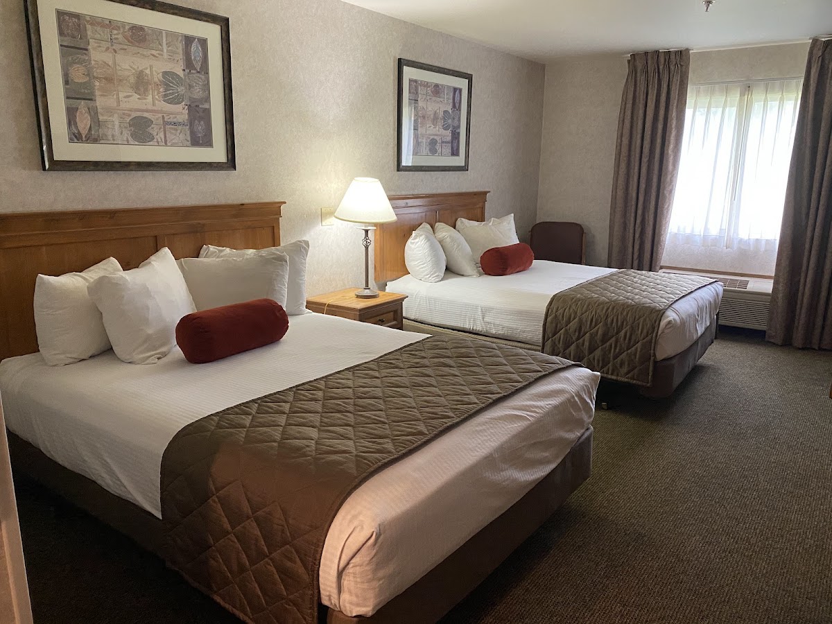 Rory & Ryan Inn photo 2