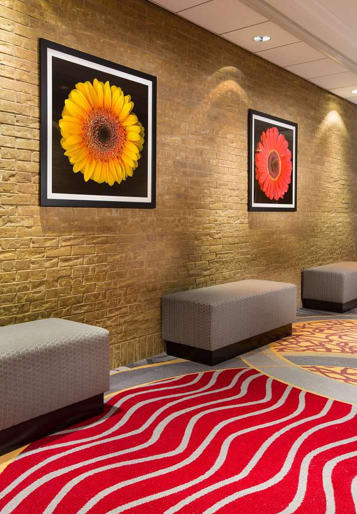 Hilton Chicago/Northbrook photo 3
