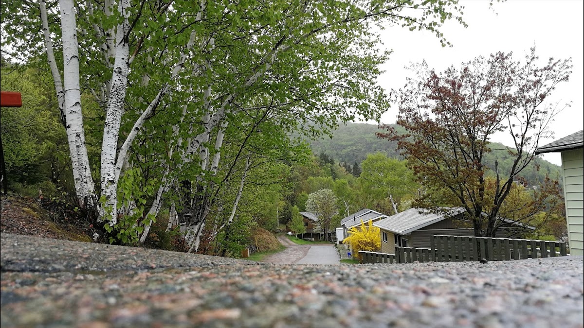 Knotty Pine Cottages photo 3