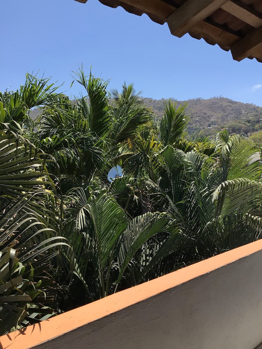 Villa Tulipanes photo 3